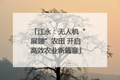 江永：无人机“展翅”农田 开启高效农业新篇章