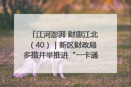 江河澎湃 财惠江北（40）｜新区财政局多措并举推进“一卡通”管理 保障惠民惠农补贴精准高效发放