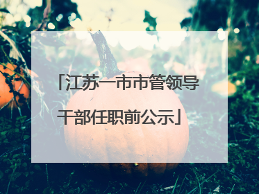 江苏一市市管领导干部任职前公示