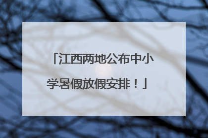 江西两地公布中小学暑假放假安排！
