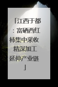 江西于都：富硒西红柿集中采收 精深加工延伸产业链