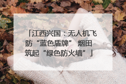 江西兴国：无人机飞防“蓝色盾牌” 烟田筑起“绿色防火墙”