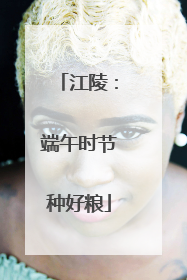 江陵：端午时节种好粮