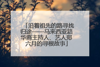 沿着祖先的路寻找归途——马来西亚籍华裔主持人、艺人郑六月的寻根故事