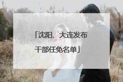 沈阳、大连发布干部任免名单