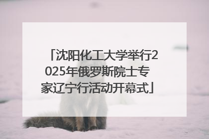 沈阳化工大学举行2025年俄罗斯院士专家辽宁行活动开幕式