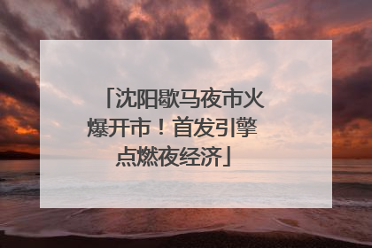 沈阳歇马夜市火爆开市！首发引擎点燃夜经济