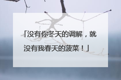 没有你冬天的调解，就没有我春天的菠菜！
