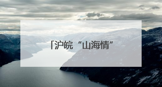 沪皖“山海情”：从“拉一把”到“一起赢”