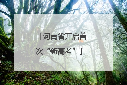 河南省开启首次“新高考”