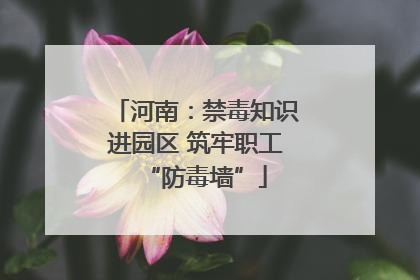 河南：禁毒知识进园区 筑牢职工“防毒墙”