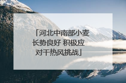 河北中南部小麦长势良好 积极应对干热风挑战