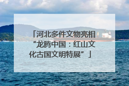 河北多件文物亮相“龙腾中国：红山文化古国文明特展”