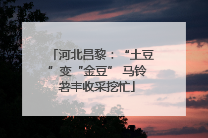 河北昌黎：“土豆”变“金豆” 马铃薯丰收采挖忙