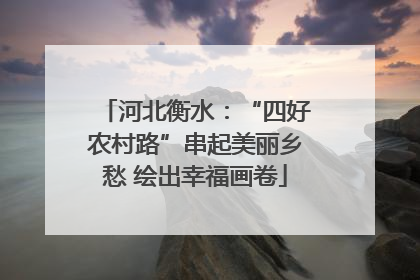 河北衡水：“四好农村路”串起美丽乡愁 绘出幸福画卷