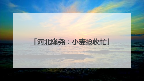河北隆尧：小麦抢收忙