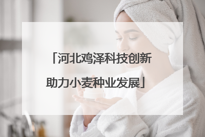 河北鸡泽科技创新助力小麦种业发展