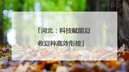 河北：科技赋能夏收夏种高效衔接