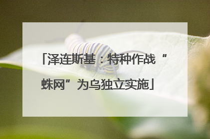 泽连斯基：特种作战“蛛网”为乌独立实施