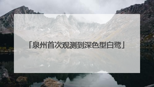 泉州首次观测到深色型白鹭