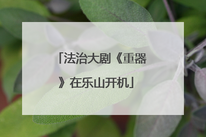 法治大剧《重器》在乐山开机