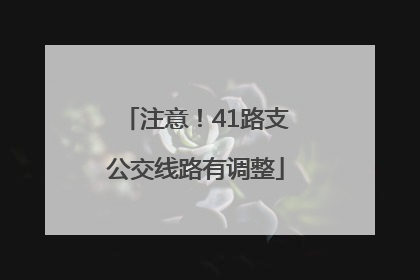 注意！41路支公交线路有调整