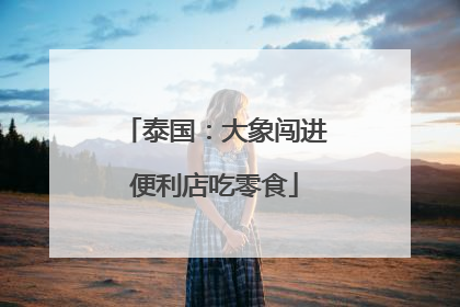 泰国：大象闯进便利店吃零食