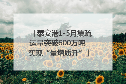 泰安港1-5月集疏运量突破600万吨 实现“量增质升”