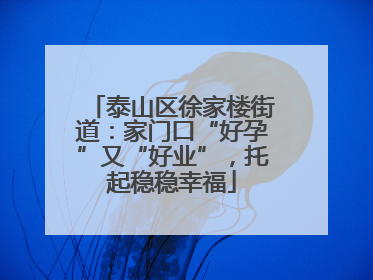 泰山区徐家楼街道：家门口“好孕”又“好业”，托起稳稳幸福