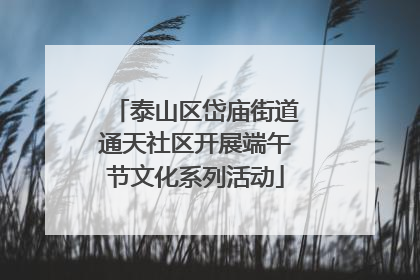 泰山区岱庙街道通天社区开展端午节文化系列活动