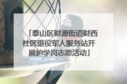 泰山区财源街道财西社区退役军人服务站开展护学岗志愿活动