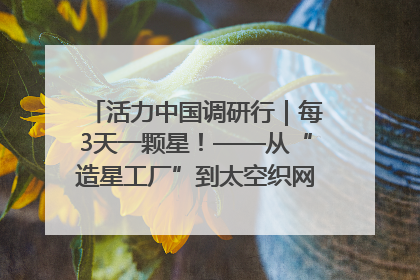 活力中国调研行｜每3天一颗星！——从“造星工厂”到太空织网的“银河速度”