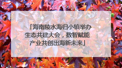 海南陵水海归小镇举办生态共建大会，数智赋能产业共创出海新未来