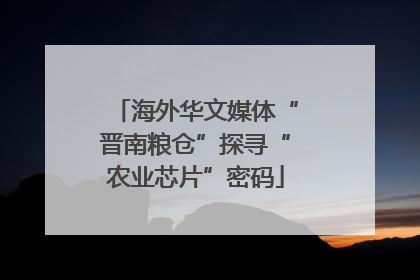 海外华文媒体“晋南粮仓”探寻“农业芯片”密码