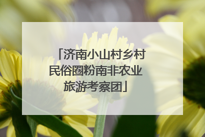 济南小山村乡村民俗圈粉南非农业旅游考察团