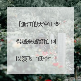 浙江的天空正变得越来越繁忙 何以领飞“低空”