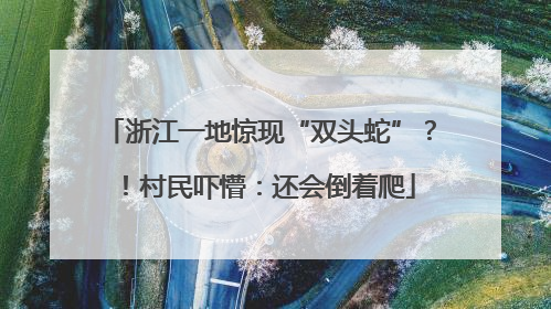 浙江一地惊现“双头蛇”？！村民吓懵：还会倒着爬