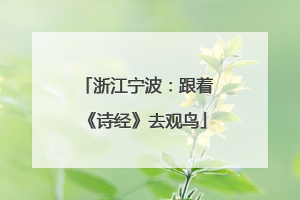 浙江宁波：跟着《诗经》去观鸟