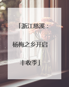 浙江慈溪：杨梅之乡开启丰收季