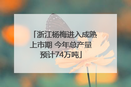 浙江杨梅进入成熟上市期 今年总产量预计74万吨