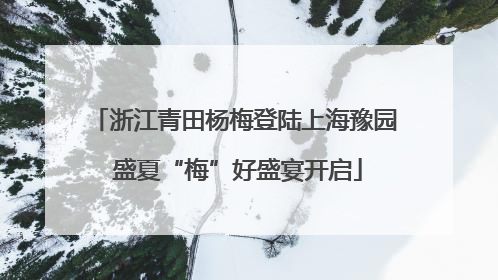 浙江青田杨梅登陆上海豫园 盛夏“梅”好盛宴开启