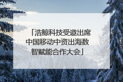 浩鲸科技受邀出席中国移动中资出海数智赋能合作大会