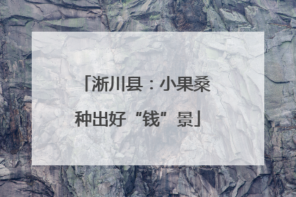 淅川县：小果桑种出好“钱”景