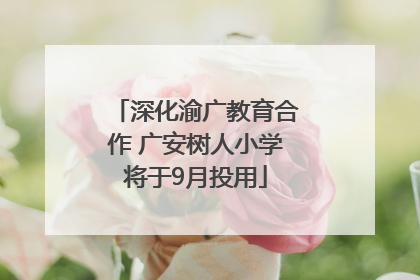深化渝广教育合作 广安树人小学将于9月投用