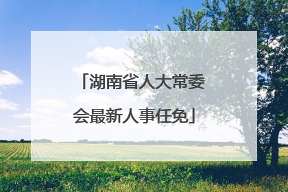 湖南省人大常委会最新人事任免