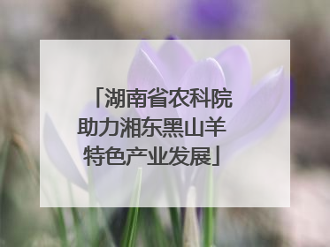 湖南省农科院助力湘东黑山羊特色产业发展