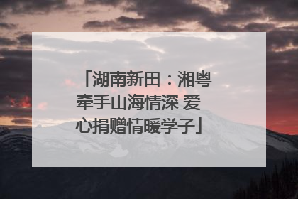 湖南新田：湘粤牵手山海情深 爱心捐赠情暖学子