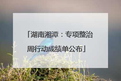 湖南湘潭：专项整治周行动成绩单公布