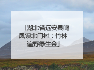 湖北省远安县鸣凤镇北门村：竹林遍野绿生金