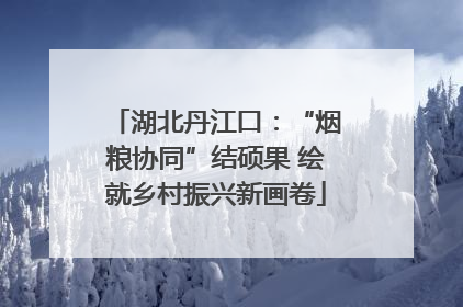 湖北丹江口：“烟粮协同”结硕果 绘就乡村振兴新画卷